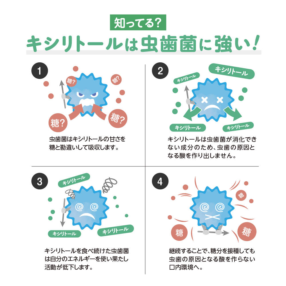 キシリブロック　カカオ（40ｇ）